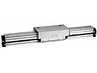 Rodless cylinders with roller guide