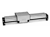 Rodless short cylinders with roller guide