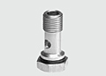 Hollow bolt with O-ring